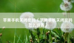 苹果手机关闭密码（苹果手机关闭密码怎么设置）