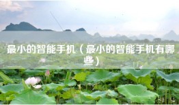 最小的智能手机（最小的智能手机有哪些）