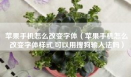 苹果手机怎么改变字体（苹果手机怎么改变字体样式,可以用搜狗输入法吗）