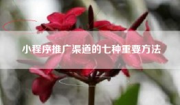 小程序推广渠道的七种重要方法