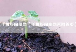 手机版凤凰网（手机版凤凰网官网首页）