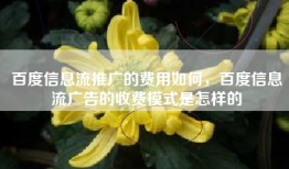 百度信息流推广的费用如何，百度信息流广告的收费模式是怎样的