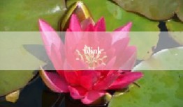 blink
