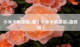 小米手机读取u盘（小米手机读取u盘教程）