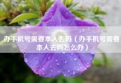 办手机号需要本人去吗（办手机号需要本人去吗怎么办）