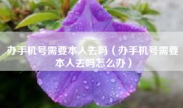办手机号需要本人去吗（办手机号需要本人去吗怎么办）