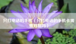 只打电话的手机（只打电话的手机卡需要月租吗）