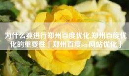 为什么要进行郑州百度优化,郑州百度优化的重要性「郑州百度seo网站优化」