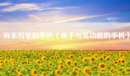 有手写笔的手机（带手写笔功能的手机）