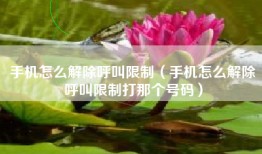 手机怎么解除呼叫限制（手机怎么解除呼叫限制打那个号码）