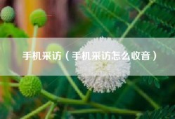 手机采访（手机采访怎么收音）
