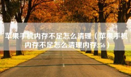 苹果手机内存不足怎么清理（苹果手机内存不足怎么清理内存256）