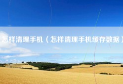 怎样清理手机（怎样清理手机缓存数据）