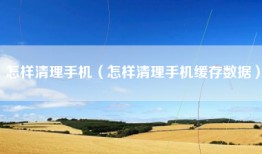 怎样清理手机(怎样清理手机缓存数据)