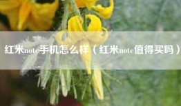 红米note手机怎么样（红米note值得买吗）
