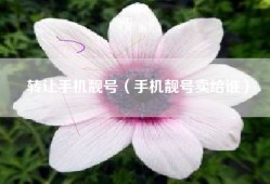 转让手机靓号（手机靓号卖给谁）