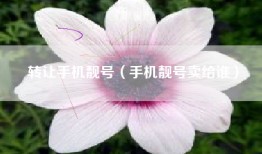 转让手机靓号（手机靓号卖给谁）
