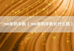 2000年的手机（2000年的手机长什么样）