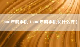 2000年的手机（2000年的手机长什么样）