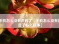 手机怎么没有声音了（手机怎么没有声音了怎么回事）