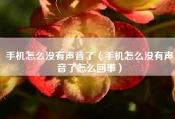 手机怎么没有声音了（手机怎么没有声音了怎么回事）