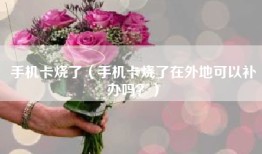 手机卡烧了（手机卡烧了在外地可以补办吗？）