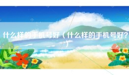 什么样的手机号好（什么样的手机号好？）