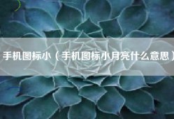手机图标小（手机图标小月亮什么意思）