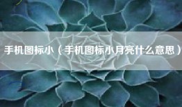 手机图标小（手机图标小月亮什么意思）