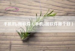 手机的p图软件（手机p图软件哪个好）