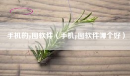 手机的p图软件（手机p图软件哪个好）