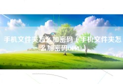 手机文件夹怎么加密码（手机文件夹怎么加密码OPPO）