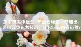 关于自媒体运营(5年运营经验，总结出7条自媒体运营技巧，让你玩转内容运营)