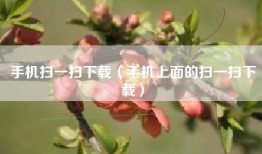 手机扫一扫下载（手机上面的扫一扫下载）