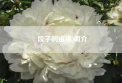 饺子的由来 简介