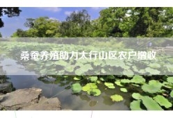 桑蚕养殖助力太行山区农户增收