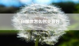 自媒体怎么创业最好