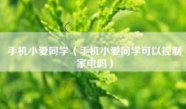 手机小爱同学（手机小爱同学可以控制家电吗）
