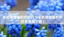 手机测量面积的软件（手机测量面积软件免费版下载）