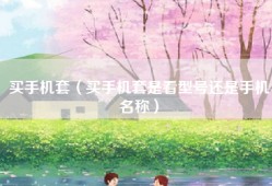 买手机套（买手机套是看型号还是手机名称）