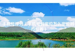 手机号评分（手机号码定位怎么定位对方位置）