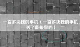 一百多块钱的手机（一百多块钱的手机丢了能报警吗）
