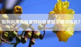 如何利用高权重网站收录做关键词排名？