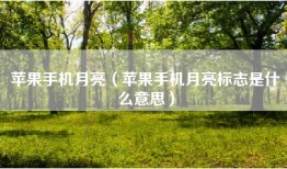 苹果手机月亮（苹果手机月亮标志是什么意思）