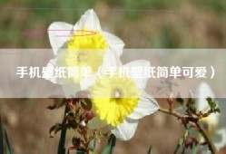手机壁纸简单（手机壁纸简单可爱）
