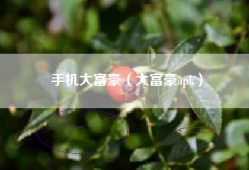 手机大富豪（大富豪apk）