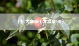 手机大富豪（大富豪apk）