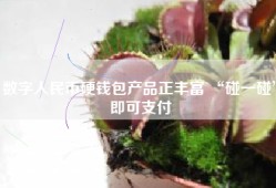 数字人民币硬钱包产品正丰富 “碰一碰”即可支付