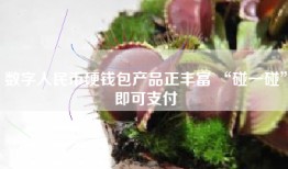 数字人民币硬钱包产品正丰富 “碰一碰”即可支付