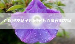 百度里发帖子如何挣钱(百度在哪发帖)